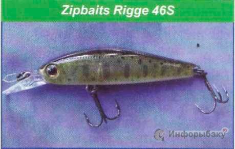  Zipbaits Rigge 46S