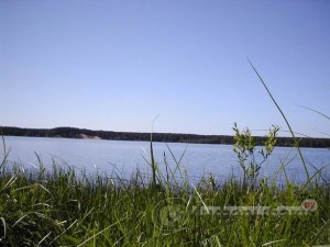 Рыбалка на озере Красавица Рыбалка на озере Красавица