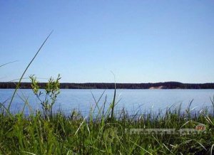 Рыбалка на озере Красавица Рыбалка на озере Красавица