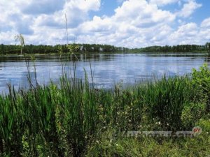 Рыбалка на озере Красавица Рыбалка на озере Красавица
