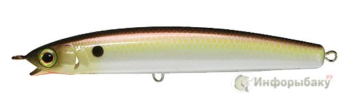  Seira Minnow