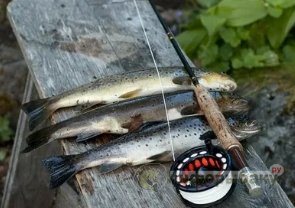 Рыбалка на Кольском – самые интересные места