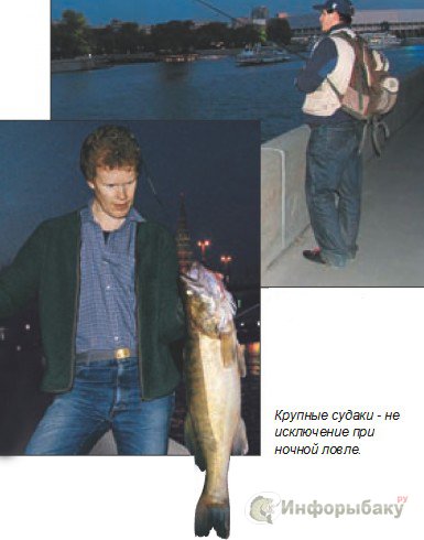 Ловля судака на берегу Москвы-реки
