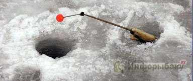 Ловля корюшки зимой в Ленинградской области