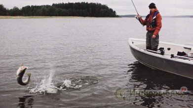 Рыбалка на морском побережье юга Финляндии