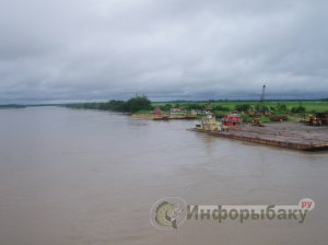 Река Мета
