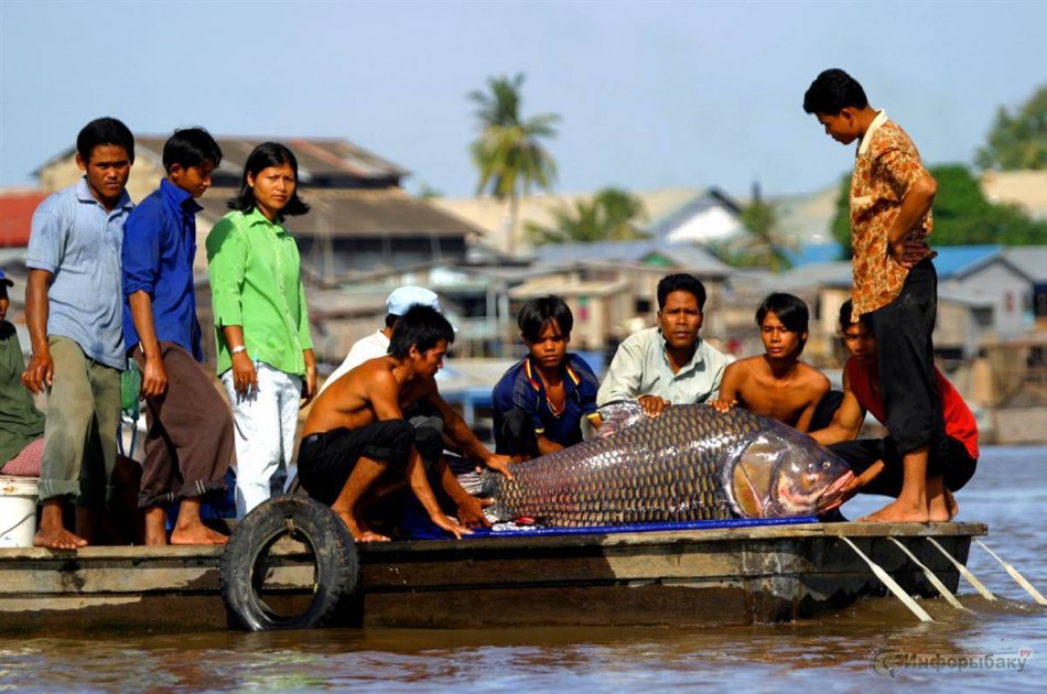 Рыбалка во Вьетнаме