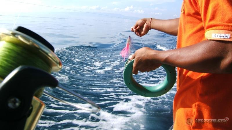 Рыбалка на Бали. Рыба солнце