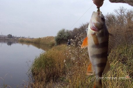 Рыбалка на Волге осенью