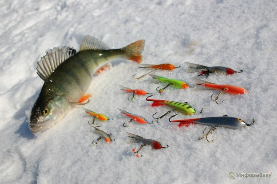 Зимняя рыбалка: что нужно знать