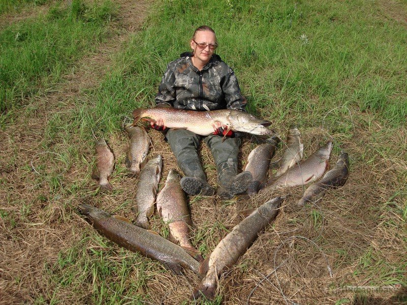 Рыбалка на Иртыше. Что нужно знать