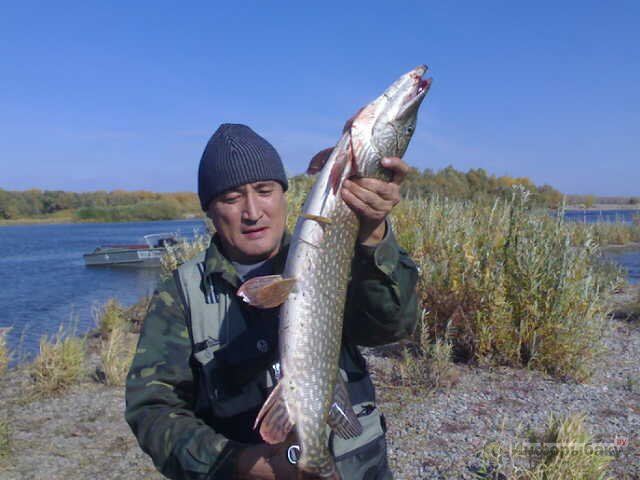Рыбалка на Иртыше. Что нужно знать