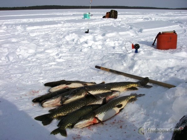 Рыбалка в холодное время года
