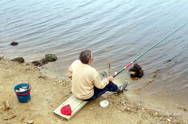 Каковы секреты удачной рыбалки