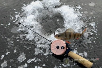 Как подготовиться к зимней рыбалке