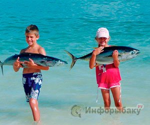 Рыбалка на амирантских островах