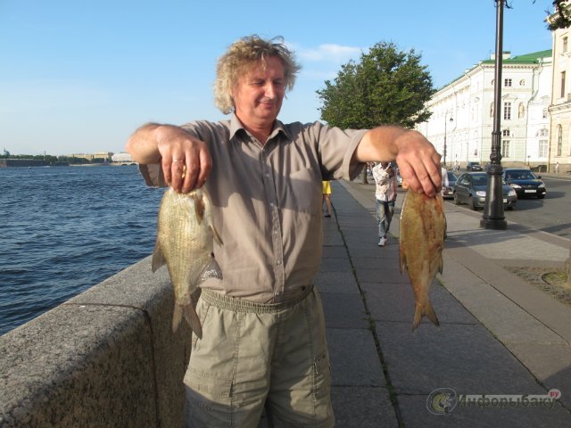 Рыбалка в Питере