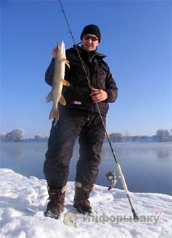 Спиннинговая рыбалка зимой в открытых водоемах Спиннинговая рыбалка зимой в открытых водоемах