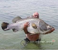 Рыбалка в Кении