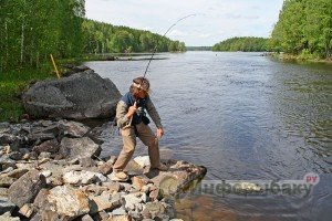 Места, где обитает жерех Места, где обитает жерех