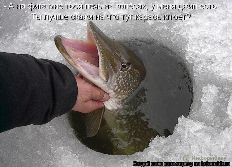 Зачем рыбаку электронный дневник Зачем рыбаку электронный дневник