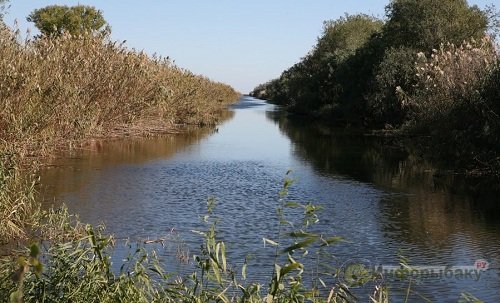 Советы при отсутствии клева Советы при отсутствии клева