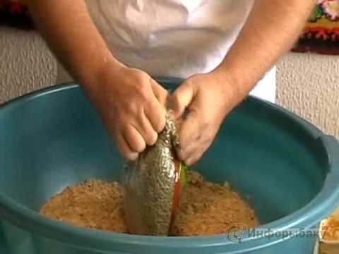 Спортивная карповая прикормка Спортивная карповая прикормка