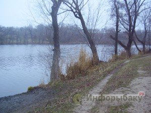 Карповая рыбалка на новом водоёме Карповая рыбалка на новом водоёме