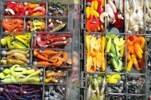 Выбор цвета наживки для окуня Выбор цвета наживки для окуня
