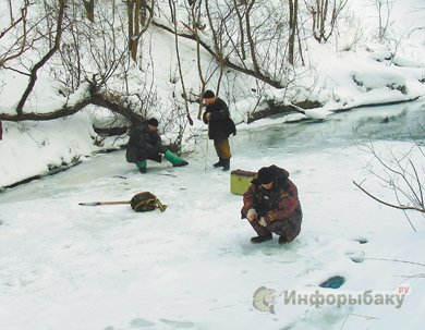 Ловля плотвы зимой. Погодные условия Ловля плотвы зимой. Погодные условия