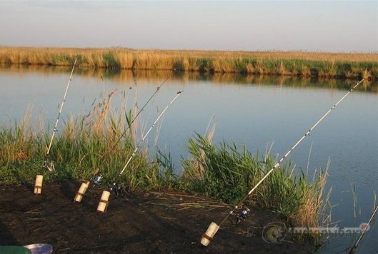 Технология ловли донкой: заброс снасти Технология ловли донкой: заброс снасти