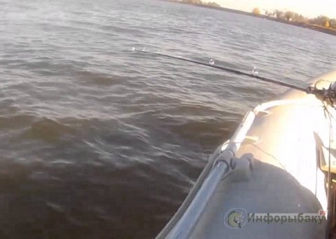 Отвесное блеснение Отвесное блеснение
