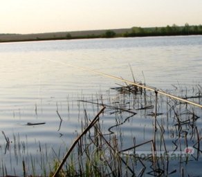 Летняя рыбалка Летняя рыбалка