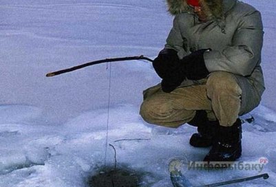 Чудеса зимней рыбалки