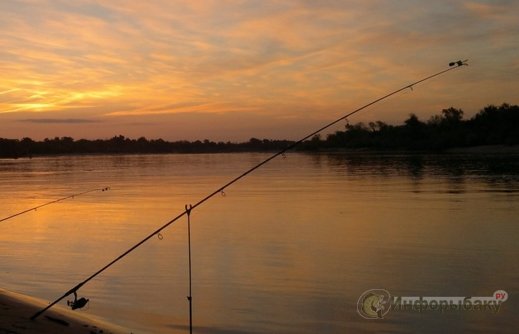 Ночная рыбалка плюсы и минусы