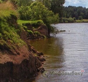 О выборе места рыбалки О выборе места рыбалки