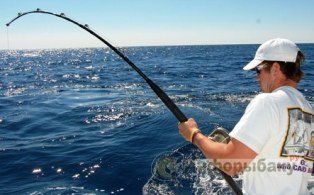 Особенности рыбной ловли на Черном море Особенности рыбной ловли на Черном море