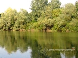 Влияние характеристик реки на местообитание рыб Влияние характеристик реки на местообитание рыб