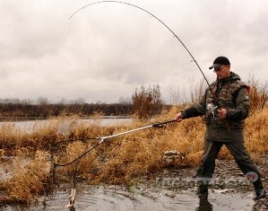 Рыбалка на щуку в октябре Рыбалка на щуку в октябре