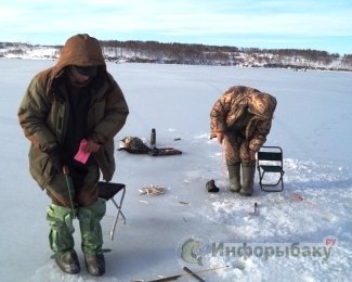 Правила зимней рыбалки