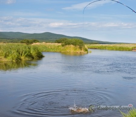 Виды и преимущества рыбалки в России