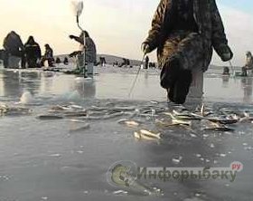 Зимняя рыбалка в Приморском крае