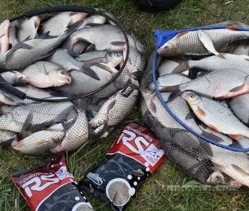 Азы для новичков в рыбной ловле Азы для новичков в рыбной ловле