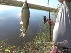 Рыбалка на реке Чулым