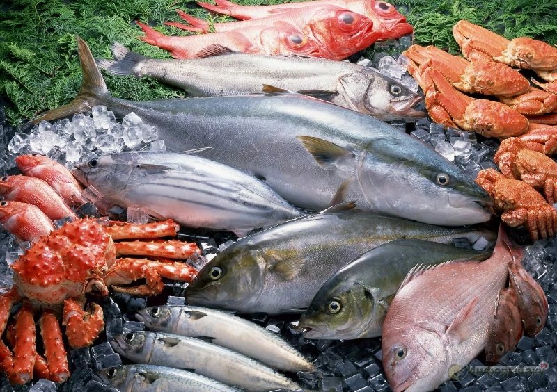 Самые популярные продукты в Instagram для рыбака