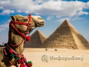 Египет: круглогодичный и разнообразный отдых