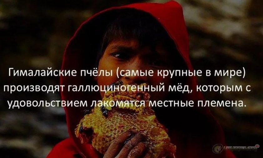 10 интересных фактов со всего мира 10 интересных фактов со всего мира