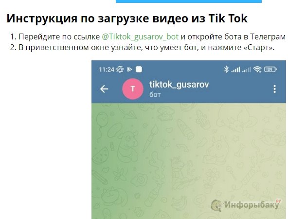 Как же скачать видео из Tik Tok через бота в Телеграм? 