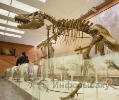 История Орловского палеонтологического музея